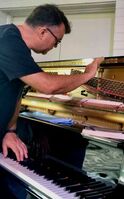 Paul Kenny Piano Tuning Repairs Servicing Burnie Devonport Launceston Hobart Tasmania